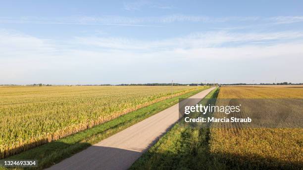 Corn Rows Route 275 Corn Rows Field Stock Photos, High-Res Pictures, and Images - Getty ...