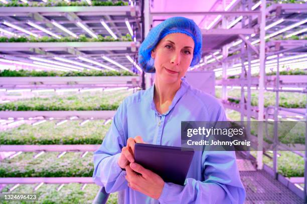 Woman Bunny Suit Photos and Premium High Res Pictures - Getty Images