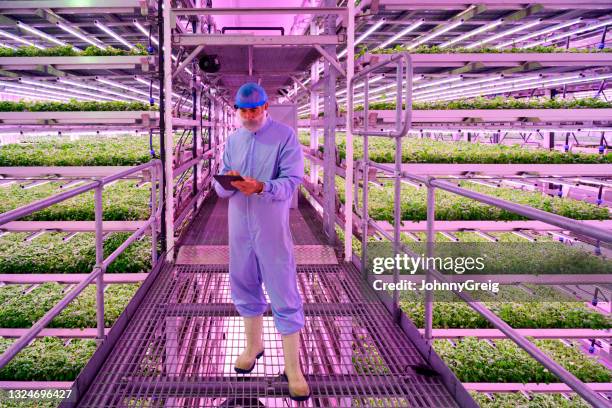 candid portrait of technician in hydroponics growing chamber - thinking outside the box expressão inglesa imagens e fotografias de stock