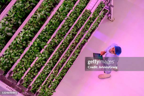 agrartechniker mit digitalem tablet, um wachstum zu verfolgen - thinking outside the box englische redewendung stock-fotos und bilder