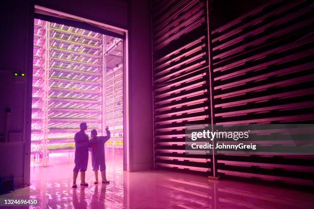 vertical hydroponic specialists conversing in dark chamber - agriculture innovation stock pictures, royalty-free photos & images