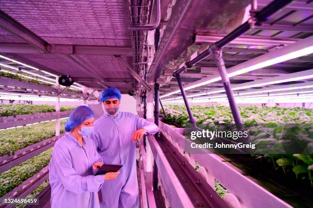 vertikale landwirte diskutieren daten in indoor farm - thinking outside the box englische redewendung stock-fotos und bilder