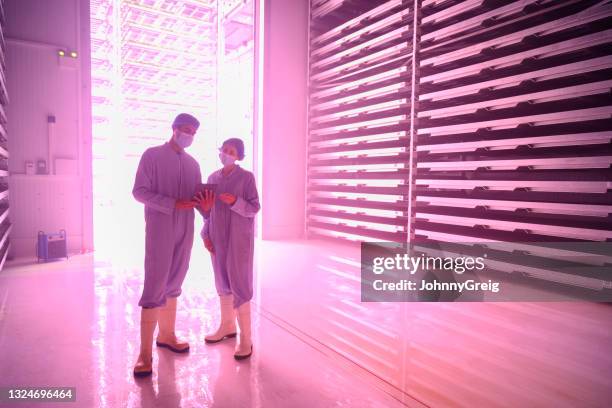 gartentechniker interagieren in vertikalen farm - thinking outside the box englische redewendung stock-fotos und bilder