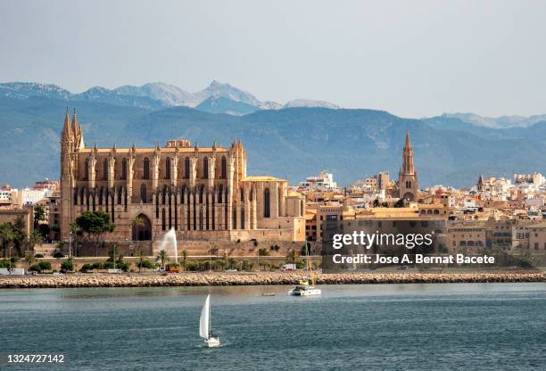 view from the sea of the city and cathedral of palma on the island of majorca. - majorca 個照片及圖片檔