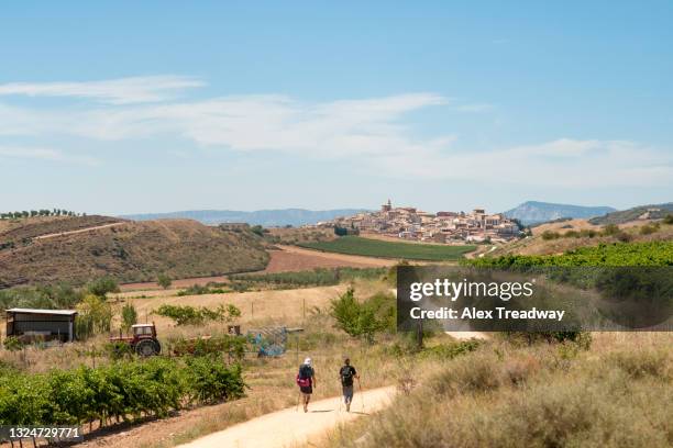 pilgrims hiking the camino de santiago also known as the way towards the little village of cirauqui on a hot summer day - jakobsweg stock-fotos und bilder