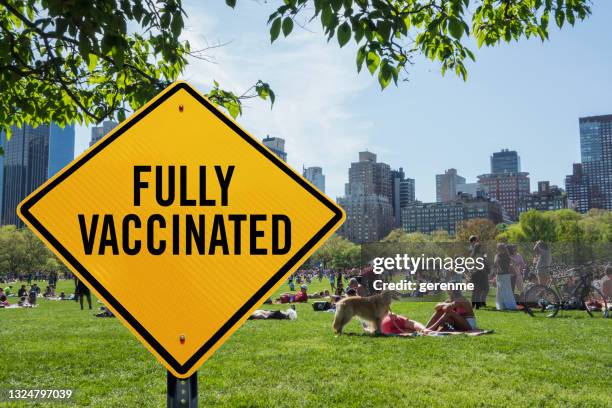 vaccination in new york - sheep meadow central park stock pictures, royalty-free photos & images