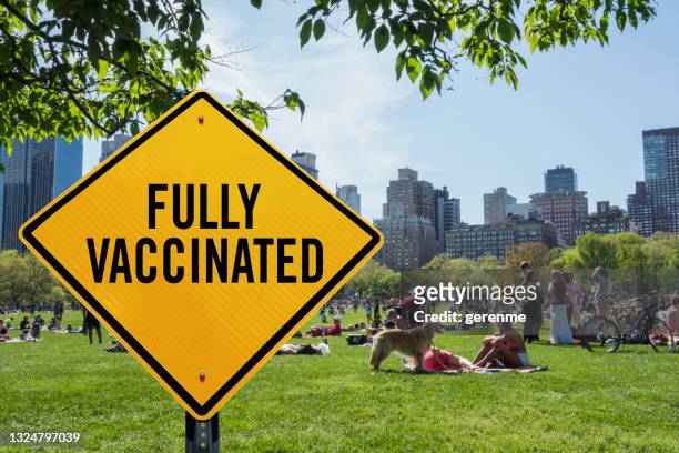 vaccination in new york - sheep meadow bildbanksfoton och bilder