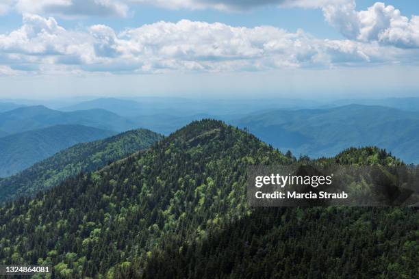 Blue Spring Ridge Blue Ridge Mountains Spring Photos and Premium High Res Pictures ...