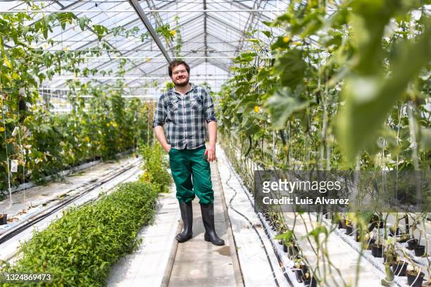 young man working in commercial greenhouse - plaid shirt stock-fotos und bilder