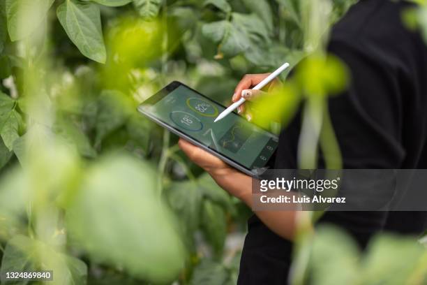 agronomist using digital tablet for analysis of plantation - agriculture photos et images de collection