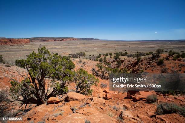 scenic view of desert against clear blue sky,baca,new mexico,united states,usa - dale smith stock pictures, royalty-free photos & images