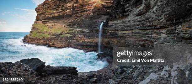 waterfall bluff, eastern cape province, south africa - wild coast bildbanksfoton och bilder