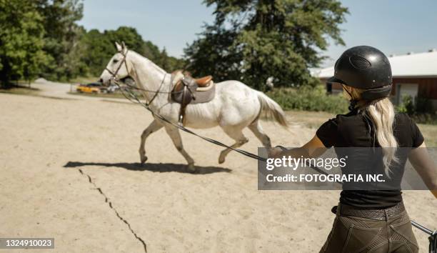 young female trainer exercising her horse - djurtrick bildbanksfoton och bilder