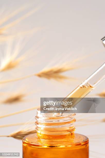 close-up pipette with face serum or essential oil on ears of wheat or oats and beige color background. - oat ear stockfoto's en -beelden