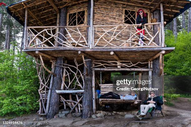 Tree House Phone 135 Tree House Phone Stock Photos, High-Res Pictures, and Images ...