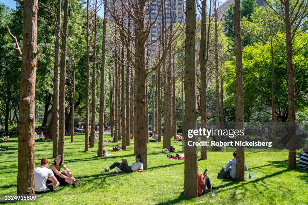 Local residents sit on the lawn of the "Ghost Forest", an art installation in Madison Square Park by artist Maya Lin on June 16, 202 in New York...