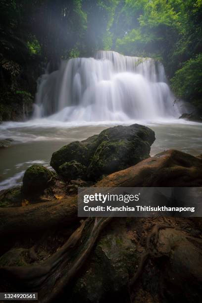 waterfall in natural deep forest - river rock stock pictures, royalty-free photos & images