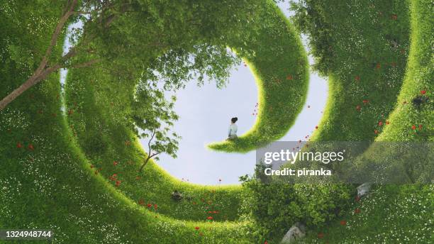 una espiral verde - tree forest flowers fotografías e imágenes de stock