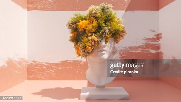 natural hair - flower show imagens e fotografias de stock