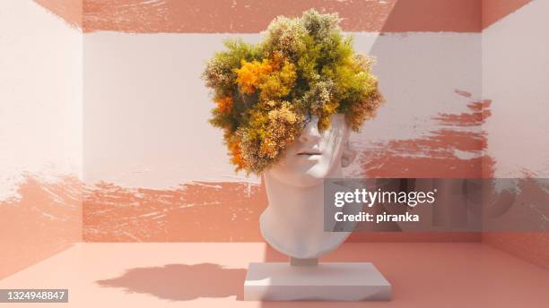 natural hair - skulptur bildbanksfoton och bilder