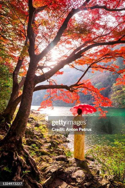 woman wearing japanese traditional kimono near katsura riverin autumn. kyoto, japan. - arashiyama imagens e fotografias de stock