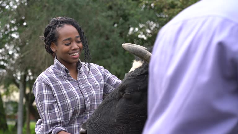 Am Using Cow Man Feeding Cow Videos and HD Footage - Getty Images