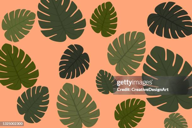 exotic background with monstera leaves - philodendron stock illustrations