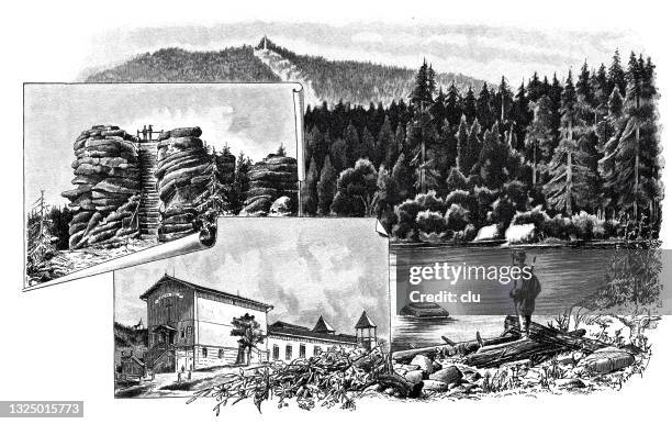 bohemian forest, plöckensteinsee, bald lake - glacier lagoon stock illustrations