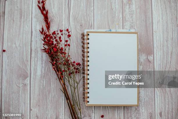 notepad template with blank background and red dry flowers.wood background - magazines on table stock pictures, royalty-free photos & images