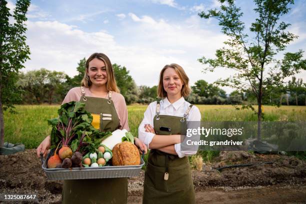 deux femmes avec un panier de produits biologiques, de lait, d’œufs et d’autres épiceries posant fièrement devant un champ de foin à leur ferme durable de vente au détail biologique - couple farm photos et images de collection