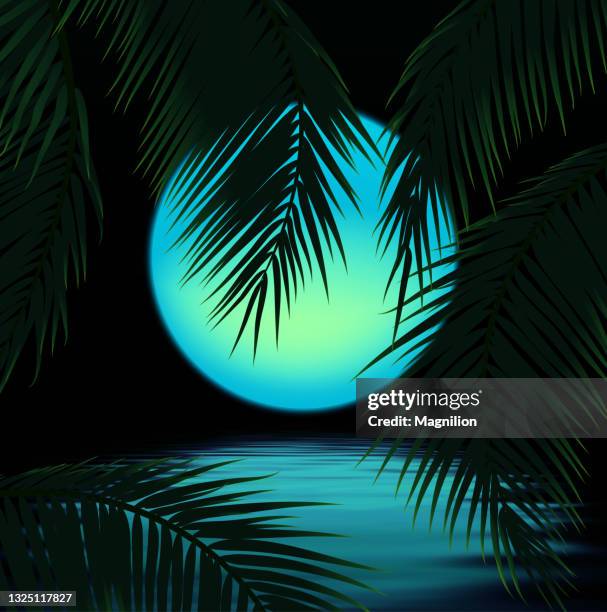 mond mit palmen, sonne und palmblatt - moonlight stock-grafiken, -clipart, -cartoons und -symbole