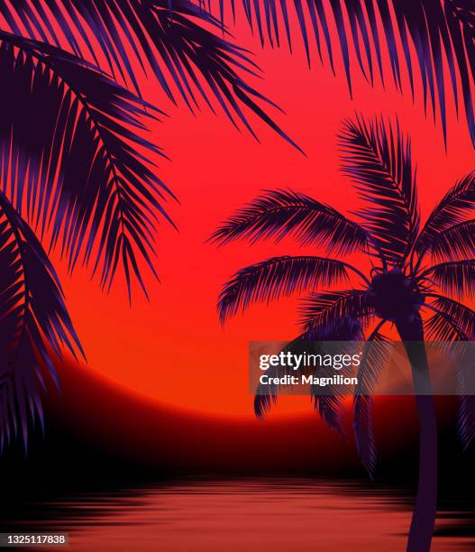 56点のサンセットビーチイラスト素材 Getty Images 56点のサンセットビーチイラスト素材 Getty Images