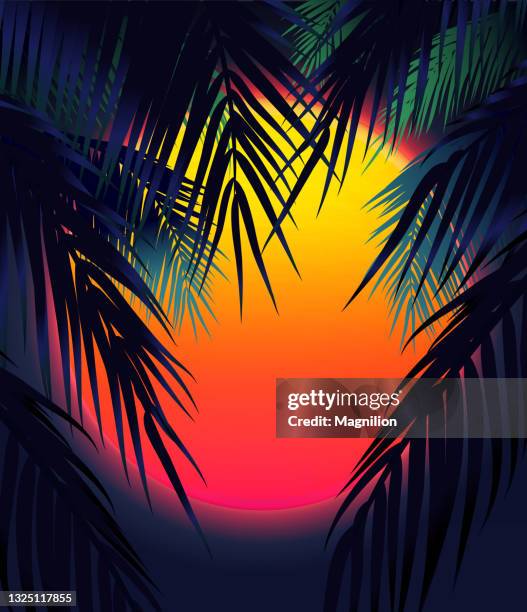 sunset with palm trees, sun and palm leaf - colorful sunset beach stock illustrations