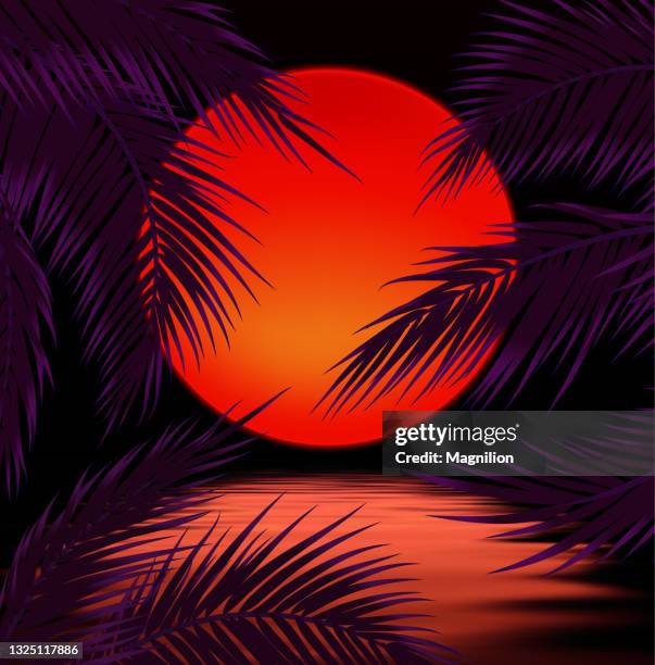 sunset with palm trees, sun and palm leaf - sunset beach 幅插畫檔、美工圖案、卡通及圖標