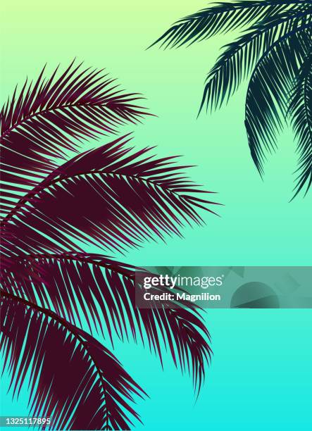 illustrazioni stock, clip art, cartoni animati e icone di tendenza di cielo con palme, cielo verde e foglia di palma - multi colored shirt
