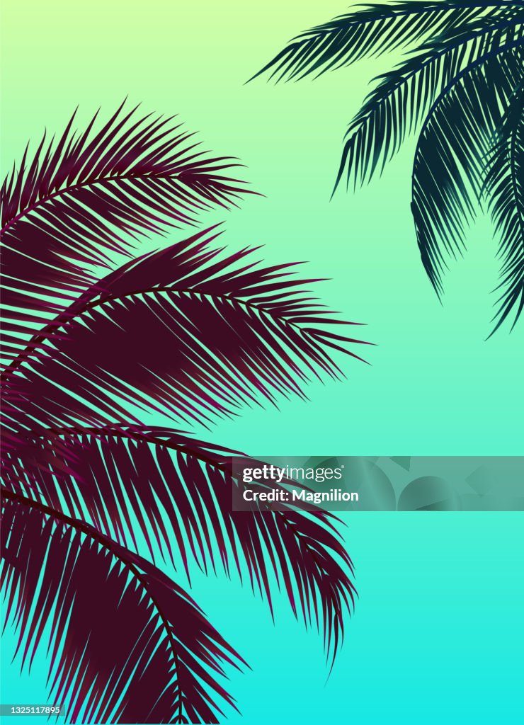 Sky with Palm Trees, Green Sky and Palm Leaf