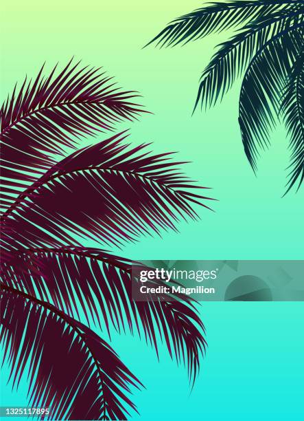 sky with palm trees, green sky and palm leaf - exotic travel destinations stock illustrations