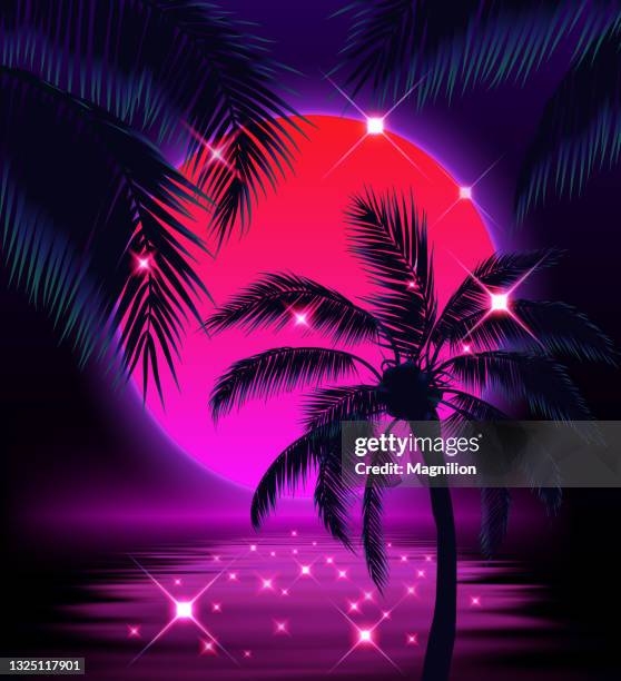 ilustraciones, imágenes clip art, dibujos animados e iconos de stock de atardecer con palmeras, sol y hoja de palma - sunset beach
