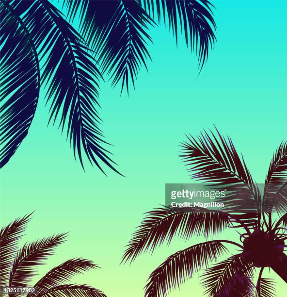 stockillustraties, clipart, cartoons en iconen met sky with palm trees, green sky and palm leaf - sky and trees green leaf illustration
