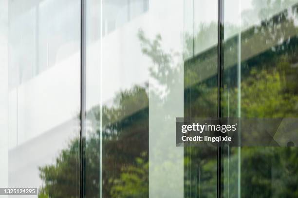 trees reflected in building glass - green glass business stock-fotos und bilder