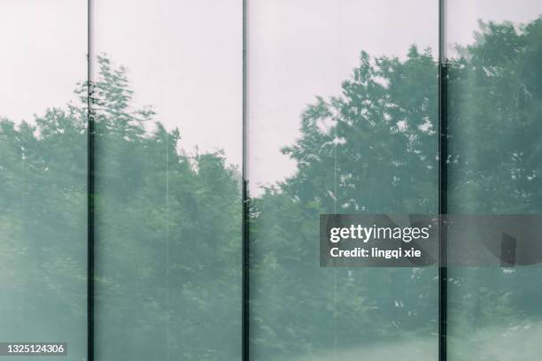 Window Reflection Nature Glass Reflection Trees Messeturm Frankfurt: Almost Two Thousand