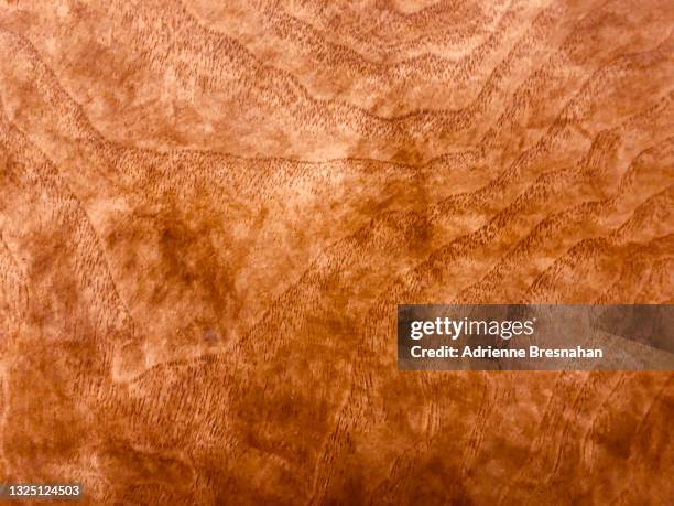 brown distressed leather - mottled skin stockfoto's en -beelden