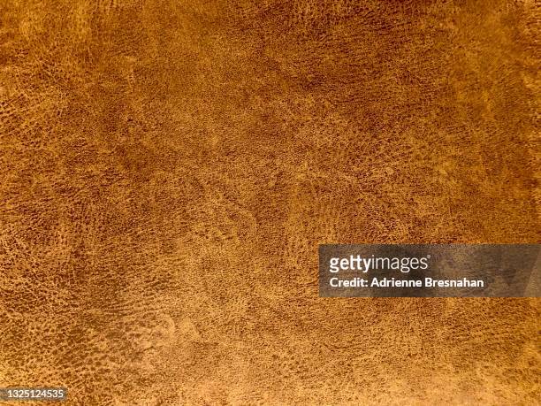 brown leather - mottled skin stockfoto's en -beelden