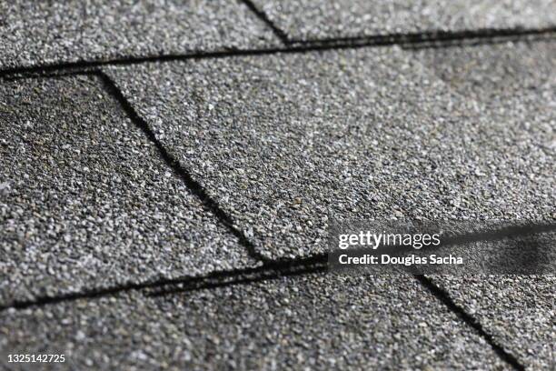 roof shingles, close-up view - bältros bildbanksfoton och bilder