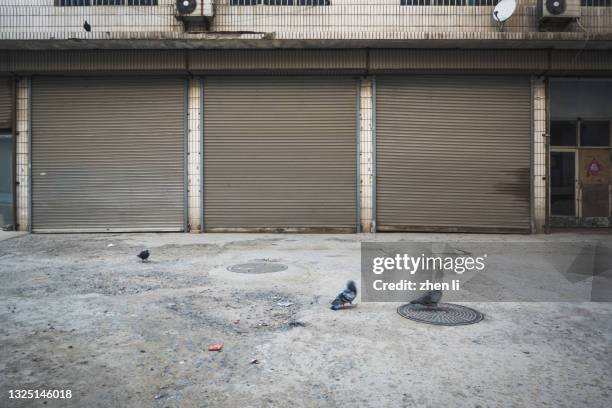 outside the rolling shutter door of the garage - roller shutter 個照片及圖片檔