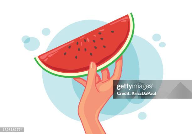 watermelon - watermelon rind stock illustrations