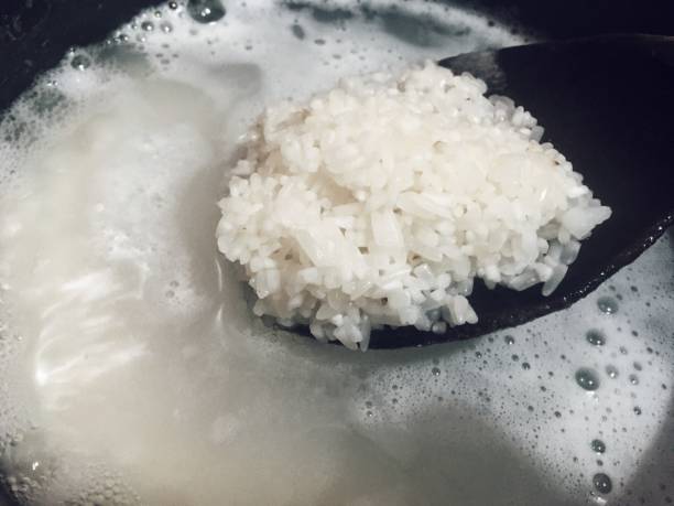 Cooked Rice In Containers 9,302 Rice Container Stock Photos, High-Res Pictures, and Images ...