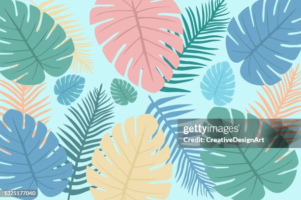 tropical background with philodendron and palm leaves - philodendron stock illustrations