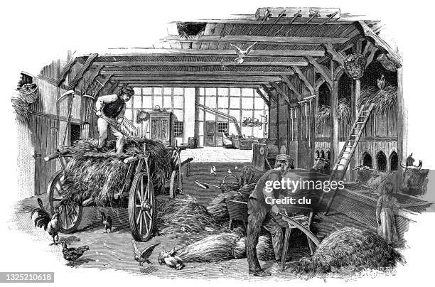 farmhouse in westphalia, germany, threshing floor - threshing stock illustrations