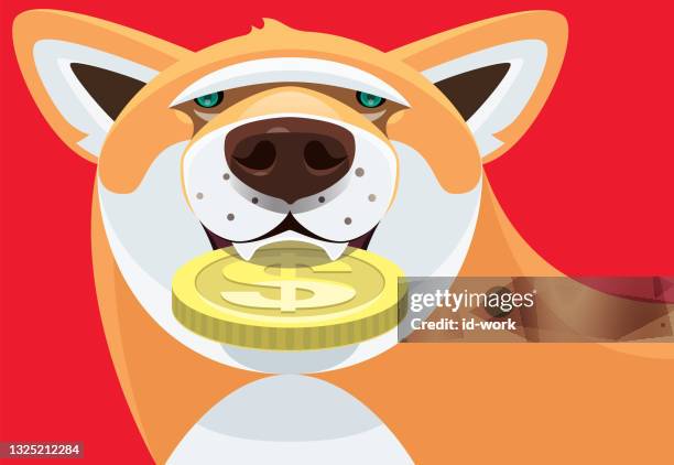 dog holding coin - dogecoin stock illustrations